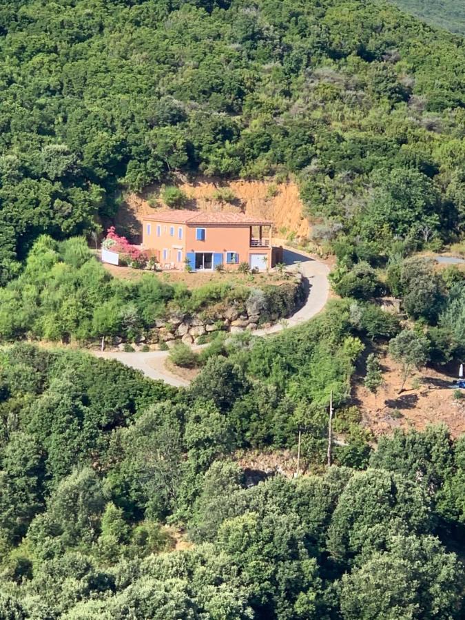 Villa Confina Villanova Exterior photo